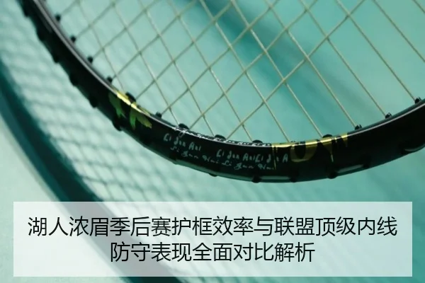 湖人浓眉季后赛护框效率与联盟顶级内线防守表现全面对比解析