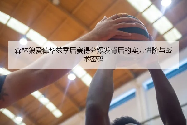 森林狼爱德华兹季后赛得分爆发背后的实力进阶与战术密码