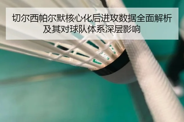 切尔西帕尔默核心化后进攻数据全面解析及其对球队体系深层影响